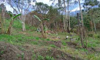Imagem 4: Terreno em São Lourenço da Serra com área de 2.000,00 m²