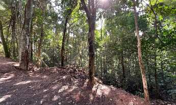 Imagem 2: Terreno no centro de São Lourenço da Serra com área de 1.000,00 m²