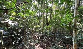 Imagem 6: Terreno no centro de São Lourenço da Serra com área de 1.000,00 m²