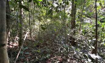 Imagem 5: Terreno no centro de São Lourenço da Serra com área de 1.000,00 m²