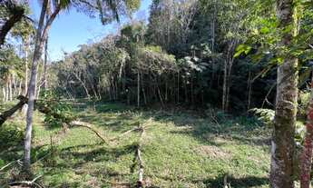 Imagem 7: Chácara em São Lourenço da Serra com área de 10.000,00 m²
