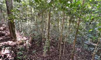 Imagem 3: Terreno no centro de São Lourenço da Serra com área de 1.000,00 m²