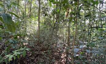 Imagem 4: Terreno no centro de São Lourenço da Serra com área de 1.000,00 m²