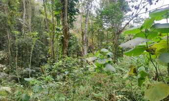 Imagem 7: Chácara em São Lourenço da Serra com área de 3.000,00 m²