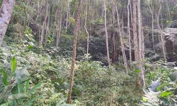 Imagem 6: Chácara em São Lourenço da Serra com área de 3.000,00 m²