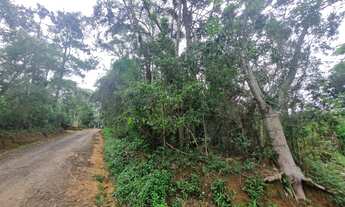 Imagem 4: Ótimo terreno em São Lourenço da Serra com área de 1.633,00 m² com boa topografia