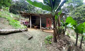 Imagem 2: Chácara em Juquitiba com área de 8.500,00 m² contendo casa simples de 2 dormitórios