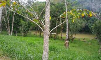 Imagem 3: Terreno em Juquitiba com lago, ideal para formação de chácara para moradia e lazer