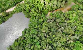 Imagem 3: Venha conhecer este incrível sítio em São Lourenço da Serra, com uma área de 10 alqueires
