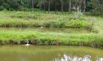 Imagem 7: Sítio em São Lourenço da Serra, com uma área de 120.000,00 m² de pura natureza! Com 12 lag