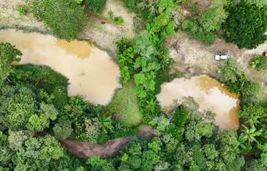 Imagem 3: Chácara à venda em São Lourenço da Serra com dois lagos