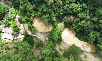 Imagem: Chácara à venda em São Lourenço da Serra
