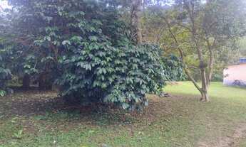Imagem 2: Terreno em São Lourenço da Serra com ótima topografia
