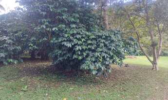 Imagem 3: Terreno em São Lourenço da Serra com ótima topografia