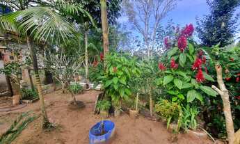 Imagem 3: Chácara à Venda em Juquitiba - SP: 2 Quartos, 1 Suíte, 2 Salas, 1 Banheiro, 1.000m² de Áre