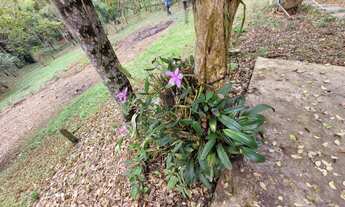 Imagem 3: Chácara em São Lourenço da Serra, com área de 6.700,00 m² com casa simples