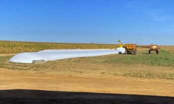 Imagem 6: Fazenda à venda em Primavera do Leste - MT com 985 hectares de área