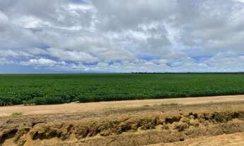 Imagem 7: Fazenda à venda em Primavera do Leste - MT com 985 hectares de área