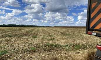 Imagem 4: Fazenda à venda em Primavera do Leste - MT com 985 hectares de área