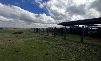 Imagem: Fazenda à venda em Umuarama - PR com 35,00