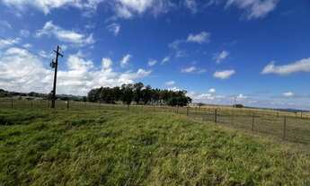 Imagem 3: Fazenda à venda em Umuarama - PR com 35,00 alqueires de área