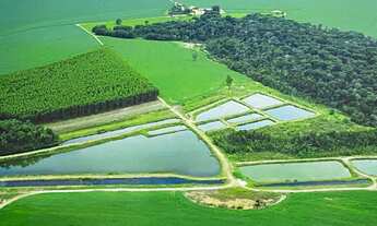 Imagem: Fazenda à venda em Primavera do Leste