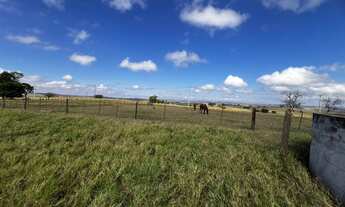 Imagem 6: Fazenda à venda em Umuarama - PR com 35,00 alqueires de área