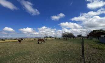 Imagem 4: Fazenda à venda em Umuarama - PR com 35,00 alqueires de área