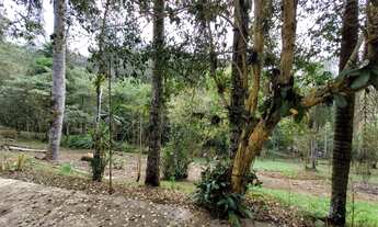 Imagem 6: Chácara em São Lourenço da Serra, com área de 6.700,00 m² com casa simples