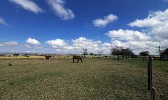 Imagem 2: Fazenda à venda em Umuarama - PR com 35,00 alqueires de área