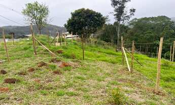 Imagem 5: Terreno à venda no Centro de São Lourenço da Serra - SP com 200,00 m² de área!