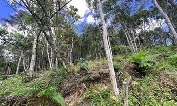 Imagem 5: Terreno à venda em Juquitiba - SP, com 2.500m² de área: a oportunidade dos seus sonhos!