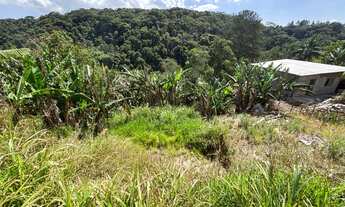 Imagem 3: Excelente oportunidade: Terreno à venda em São Lourenço da Serra - SP, com 282,00 m² de ár