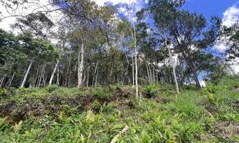 Imagem 2: Terreno à venda em Juquitiba - SP, com 2.500m² de área: a oportunidade dos seus sonhos!