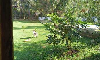 Imagem 6: Chácara à Venda em Juquitiba - SP 9.000,00 m² de Área!