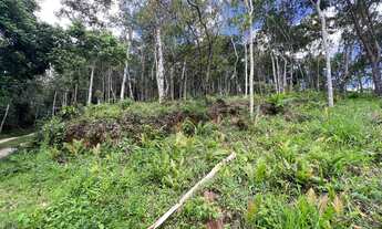 Imagem: Terreno à venda em Juquitiba - SP, com