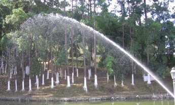 Imagem 5: Sítio em São Lourenço da Serra