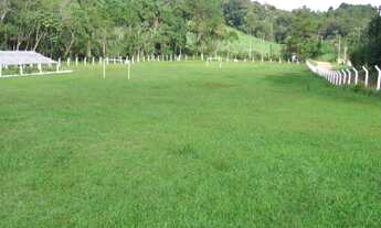 Imagem 6: Sítio em São Lourenço da Serra