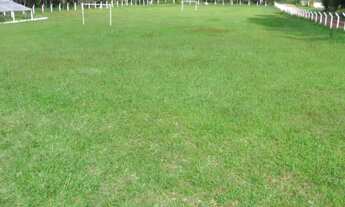 Imagem 7: Sítio em São Lourenço da Serra