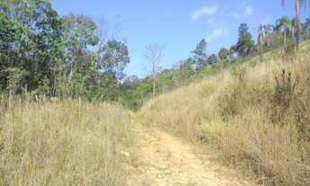 Imagem: Área de 23 Alqueires em São Lourenço