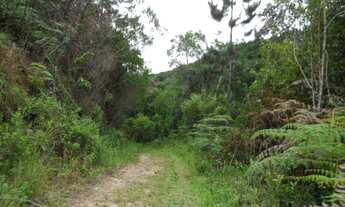 Imagem 3: SITIO RURAL em São Lourenço da Serra - SP, Centro