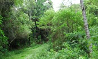 Imagem 4: SITIO RURAL em São Lourenço da Serra - SP, Centro