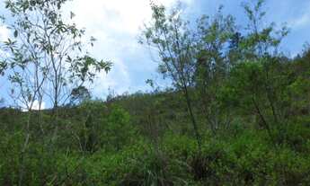 Imagem 5: SITIO RURAL em São Lourenço da Serra - SP, Centro
