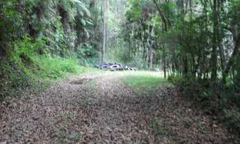 Imagem 2: SITIO RURAL em São Lourenço da Serra - SP, Centro