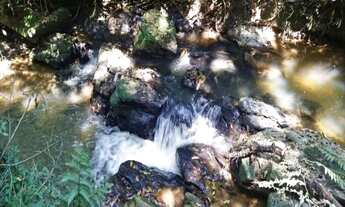 Imagem 6: Sitio em São Lourenço da Serra, com área de 8,8 Alqueires