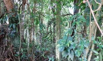 Imagem 2: Terreno em São Lourenço da Serra