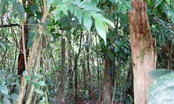 Imagem 3: Terreno em São Lourenço da Serra