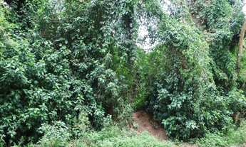 Imagem 4: Terreno em São Lourenço da Serra