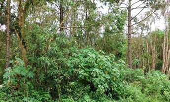 Imagem: Terreno em São Lourenço da Serra