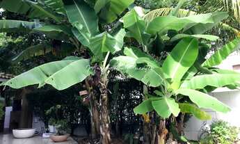 Imagem 7: Casa á venda em condomínio com portaria 24 h e clube com quadra na Estrada do Côco, piscin